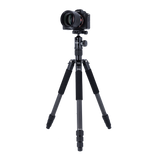 CT-5C - carbon tripod