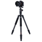 C6i - carbon tripod